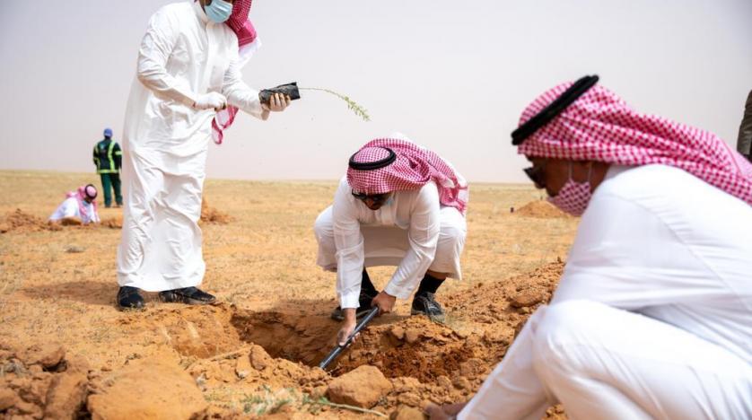 بالصور: تعرف على تفاصيل المرحلة الأولى من حملة تشجير محمية الملك عبدالعزيز الملكية