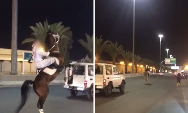 بالصور: ضبط عدد من المركبات وملاك الخيل قام أصحابها بعمل مسيرة بتبوك