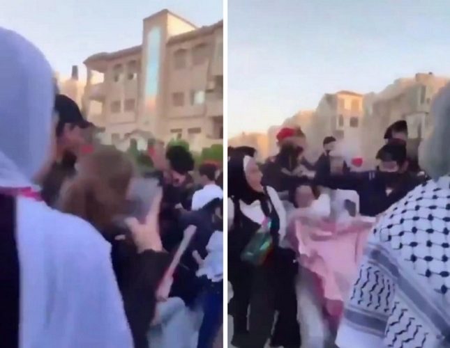 شاهد رجل أمن أردني يشد فتاة من شعرها أثناء وقفه احتجاجية أمام السفارة الإسرائيلية في عمان