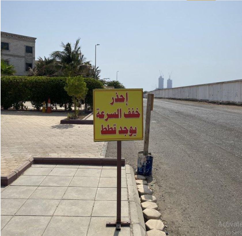 أغرب لوحة تحذيرية على أحد الطرق في جدة بسبب القطط -صورة