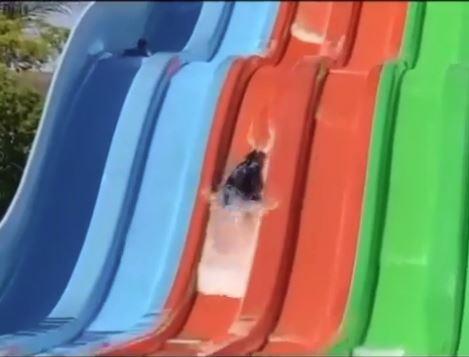 2021 7 3 13 14 58 548