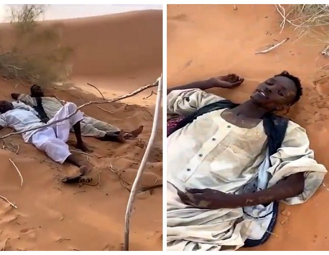 وجدوهم بين الحياة والموت.. شاهد لحظة العثور على الوافدين السودانيين المفقودين في صحراء حائل