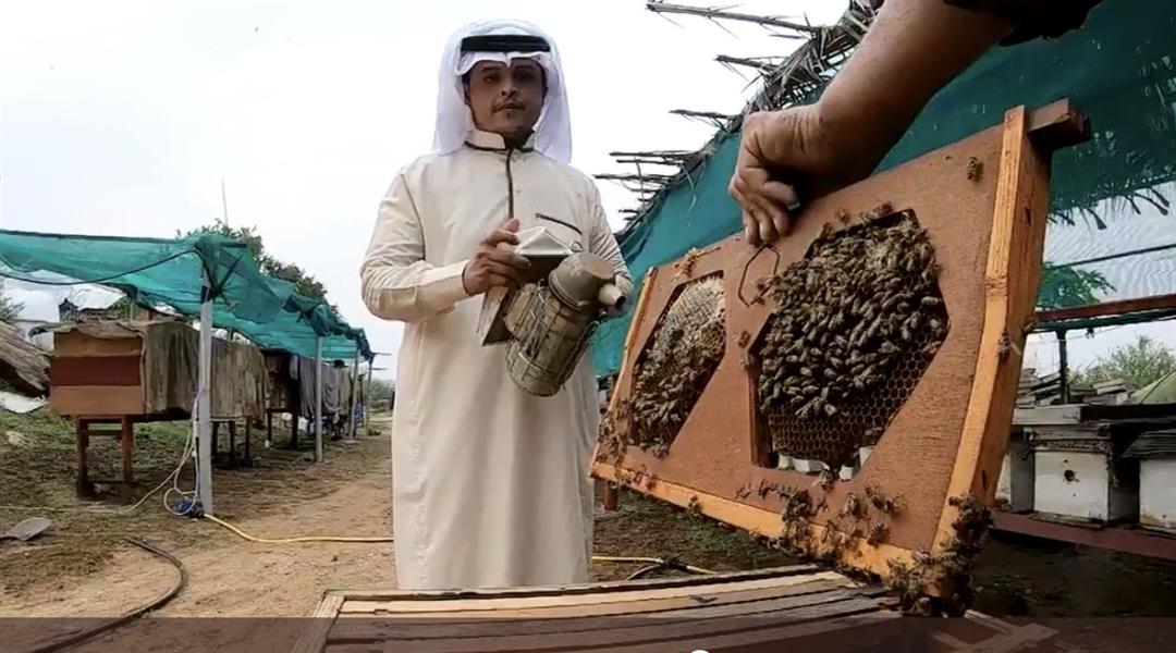 بالفيديو: مواطن يمتلك منحل عسل بجازان ينتج أكثر من 40 كيلو في الموسم