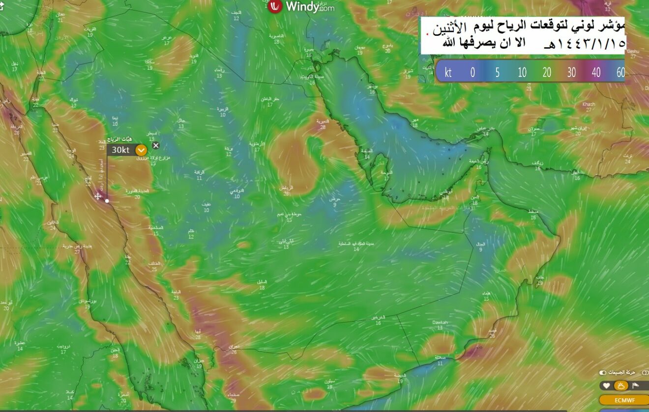 الحصيني يكشف توقعاته لطقس المملكة اليوم.. رياح وأمطار على هذه المناطق