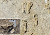 شاهد العثور على آثار أقدام بشرية في أمريكا يعود تاريخها قبل 23 ألف عام