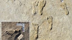 شاهد العثور على آثار أقدام بشرية في أمريكا يعود تاريخها قبل 23 ألف عام