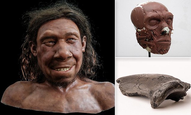 شاهد علماء ينجحون في إعادة بناء وجه إنسان بدائي عاش ومات قبل 70 ألف سنة