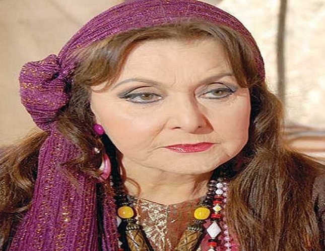 تتكئ على عكاز.. شاهد أحدث ظهور للفنانة المصرية ليلى طاهر بعد اعتزالها الفن