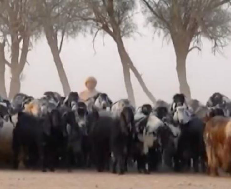 الصيف يلملم أمتعته.. بالفيديو: الزعاق يكشف عن الأيام الأهم نفسياً وزراعياً واقتصادياً خلال السنة