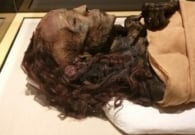 مدير مخزن المومياوات بالمتحف المصري يكشف مفاجأة بشأن شعر الملكة تي