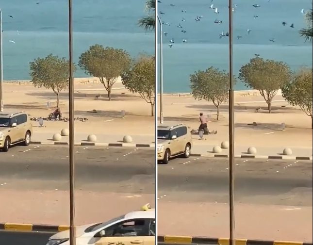 شاهد شخص ينصب فخاً للحمام في شارع عام بالكويت ويصطاد كمية كبيرة منه لسبب لا يخطر ببال