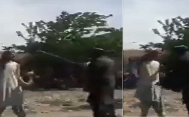 أُجبر على خلع ملابسه لكي يتألم.. شاهد عناصر من حركة طلبان يجلدون أفغاني على ظهره بطريقة عنيفة