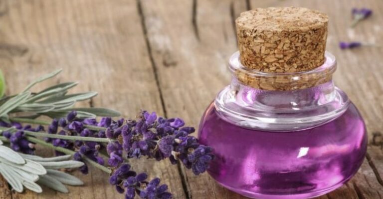 زيت اللافندر وفوائده في الاستخدمات الصحية والتجميلية