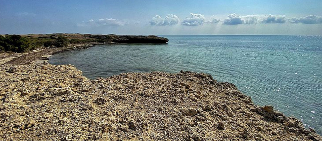 000 1 - جزيرة جبل الليث البحرية.. وجهة سياحية واعدة وموقع مفضل لهواة الغوص