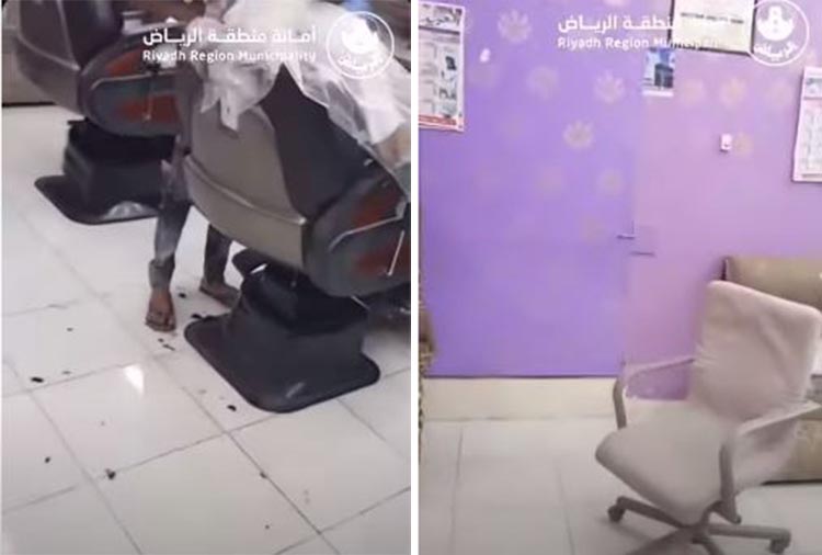 شاهد أمانة الرياض تشن حملة على صالون حلاقة.. وعند تفتيشه كانت المفاجأة