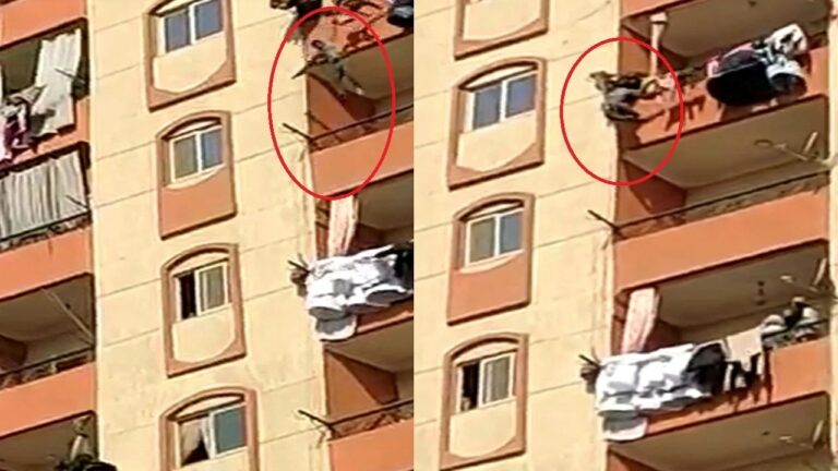 شاهد مهندس مصري يقتل زوجته ويقفز من الطابق الـ12