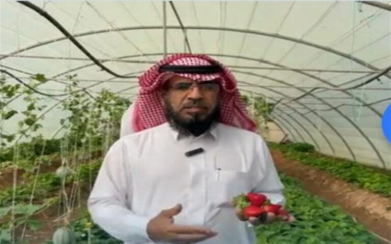 شاهد مزارع يروي تجربة نجاحه بزراعة الفراولة في منطقة حفر الباطن الصحراوية