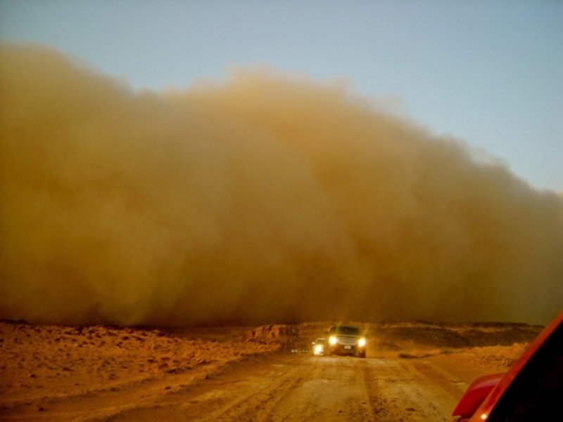 المسند: ربكة جوية ورياح نشطة مثيرة للغبار.. وينصح بتأجيل السفر لهذه المناطق