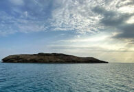 جزيرة جبل الليث البحرية.. وجهة سياحية واعدة وموقع مفضل لهواة الغوص-صور