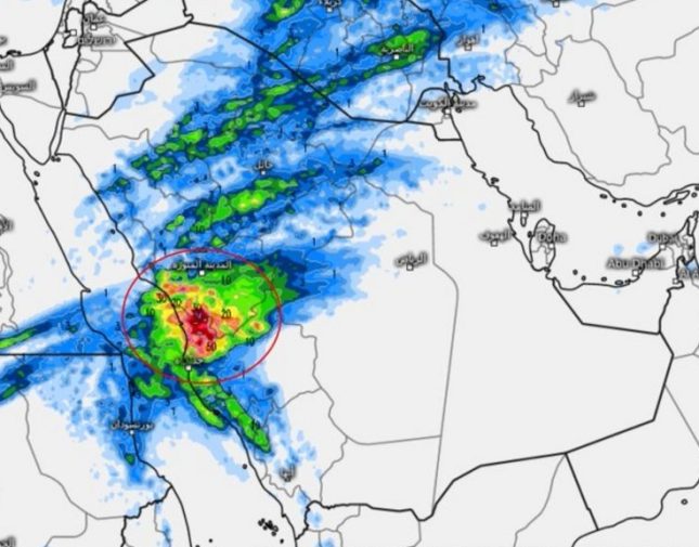 المسند: اليوم ذروة الحالة المطرية وتشمل 8 مناطق