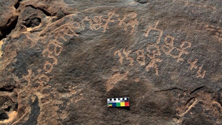 بالصور: باحث سعودي يعثر على صخرة أثرية تعود لأكثر من 2600 عام وتحمل نقوشاً ثمودية في تيماء