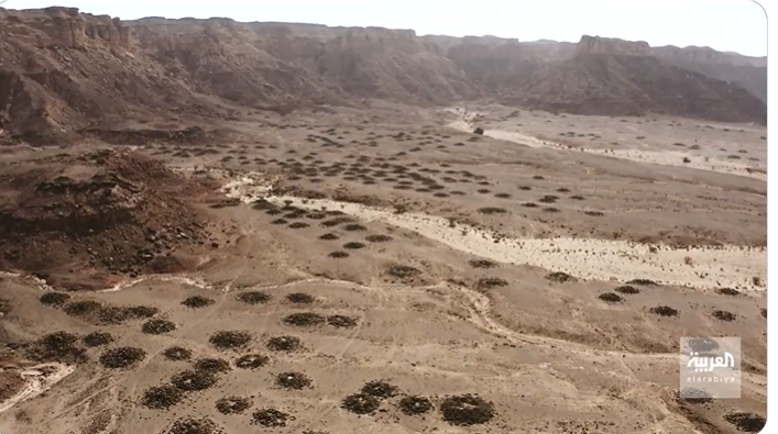 بالفيديو: مدافن الخرج تستوقف جون فيلبي وعبدالعزيز الغزّي وعيد اليحيى.. ما هي قصتها؟