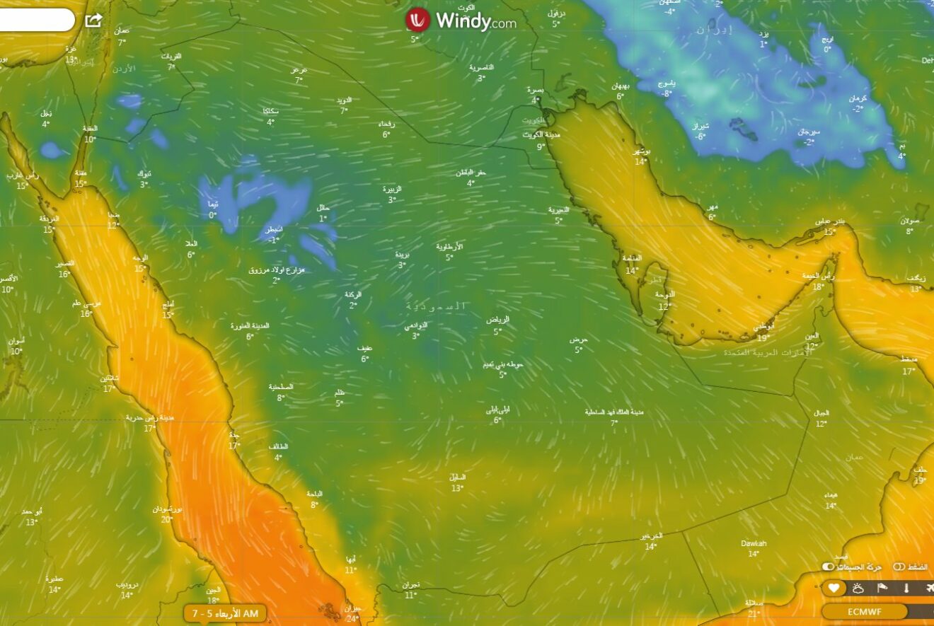 الحصيني: اليوم دخول آخر نجوم المربعانية الشولة.. وهذه ملامح أجوائه