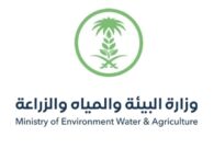وزارة البيئة تعلن عن 117 وظيفة شاغرة وتكشف عن الشروط المطلوبة