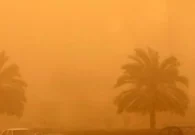 الحصيني: 2022 أقل الأعوام في العواصف الغبارية