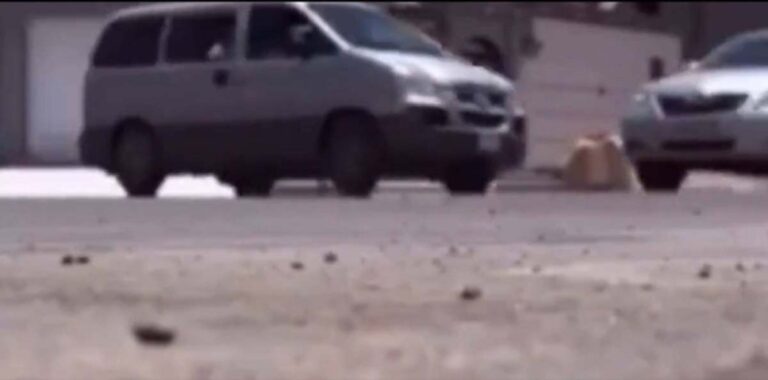 شاهد فيديو مروع يوثق لحظة انقلاب حافلة مدرسية بعد اصطدامها بسيارة ووفاة طالبة وإصابة أخريات بتبوك