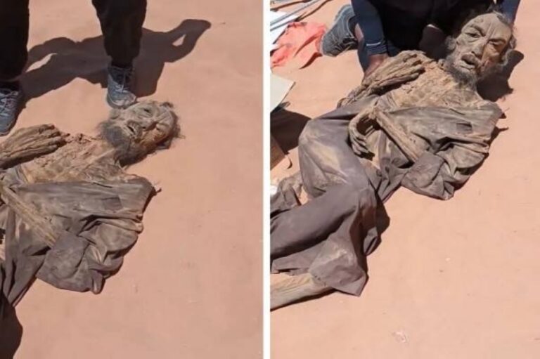 شاهد كشف حقيقة فيديو العثور على جثة القذافي في صحراء ليبيا