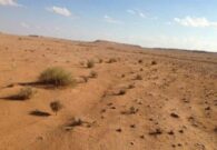 حقيقة اكتشاف بحر عملاق في باطن صحراء الأنبار العراقية