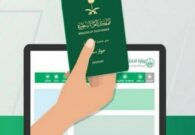 بالفيديو.. خطوات إصدار جواز السفر إلكترونيًا للفئة العمرية الأقل من 21 عامًا