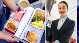 مضيفة تنصح المسافرين بعدم تناول وجبات شركات الطيران وتحذر من الشاي والقهوة