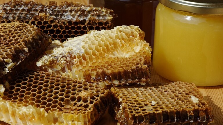 أخضائية مناعة وحساسية: عسل النحل يشكل خطورة على حياة المرضى في هذه الحالة