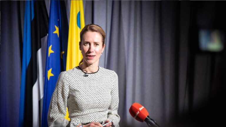 فضيحة لرئيسة الوزراء الإستونية بسبب بمدفأة كهربائية