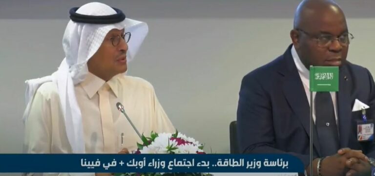 وزير الطاقة: لدي خبرة 25 عاما في هذا المجال.. وأتحدى أي شخص أمامي مر بنفس الأحداث المماثلة -فيديو
