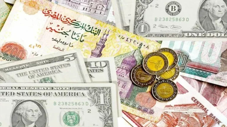 سعر الدولار أمام الجنيه المصري يُسجل ارتفاع تاريخي جديد