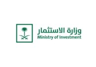 وزارة الاستثمار تعلن عن توفر عدد من الوظائف.. تعرف على التخصصات المطلوبة وطريقة التقديم