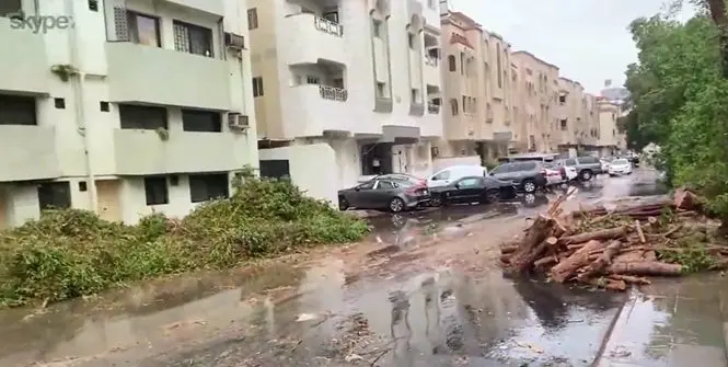 شاهد الأمطار تقتلع الأشجار من جذورها في جدة