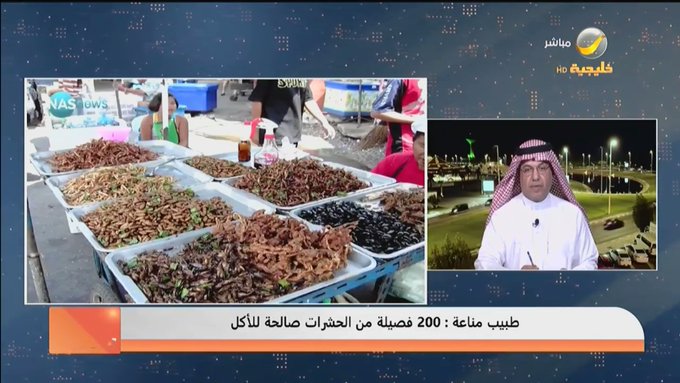 ‏متخصص في علم المناعة: بيئتنا المحلية ممتازة للحشرات الصالحة للأكل ومنها صرصور الحقل -فيديو