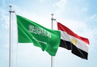 الصندوق السيادي السعودي يستحوذ على أكبر 6 شركات مصرية
