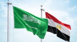 الصندوق السيادي السعودي يستحوذ على أكبر 6 شركات مصرية
