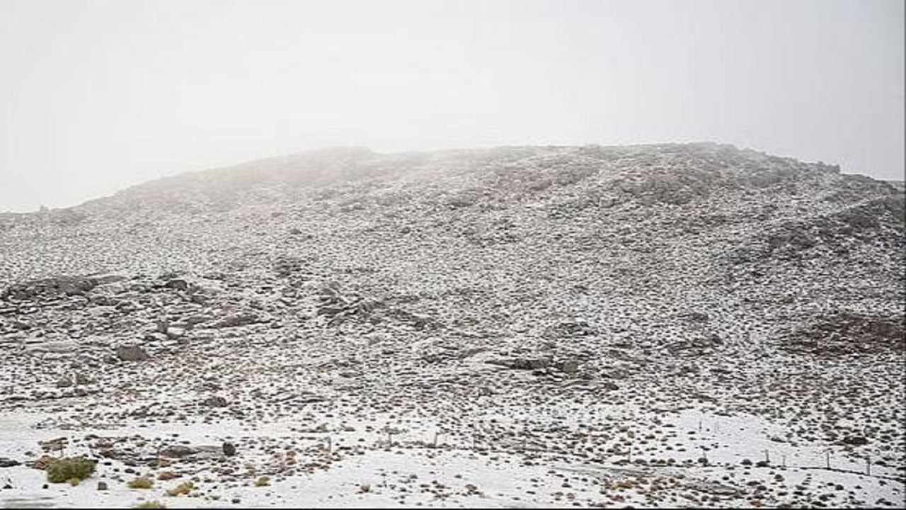 لوحات ساحرة ترسمها الثلوج بجبال اللوز