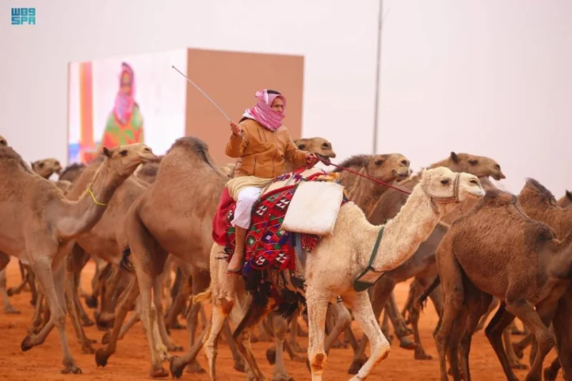 مهرجان الإبل: المنقية سلطانات أول الشعل لفئة سيف الملك -فيديو