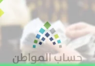 توضيح مهم من حساب المواطن حول علاقة تحديث البيانات بدفعة مارس