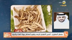 بالفيديو: مسؤول بالغذاء والدواء يكشف أسباب لجوء الاتحاد الأوروبي لاستخدام مسحوق الحشرات في بعض المنتجات الغذائية
