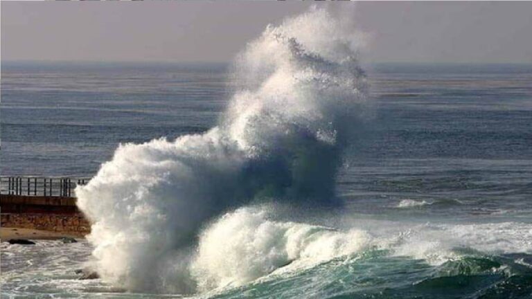 ارتفاع الأمواج غدًا في سواحل تبوك ومكة والمدينة