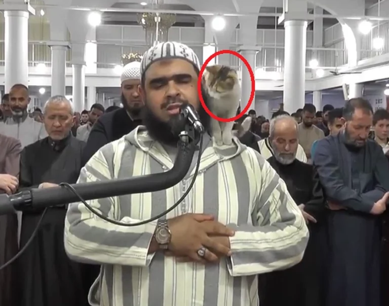 بعدما تجاوز الفيديو أكثر من مليار ونصف مشاهدة.. الجزائر تكرم إمام المسجد صاحب مقطع القطة
