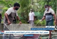 طبيب سعودي: فيروس نيباه خطير ومميت.. ويكشف التفاصيل -فيديو